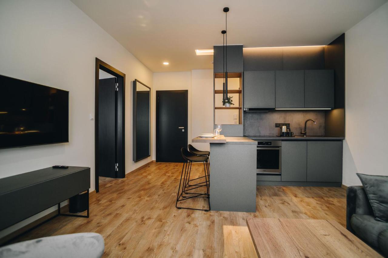 Apartment Executive Taborska